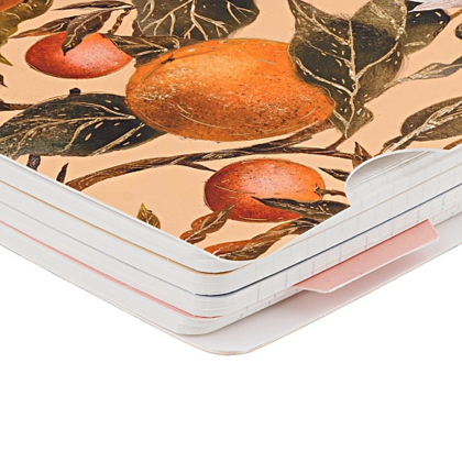 Книга записная "Flora. Paradise. Oranges", A5, 200 листов, клетка, линейка, точка, оранжевый - 3