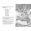 Книга "Книжный лес", Сулань Т. - 4
