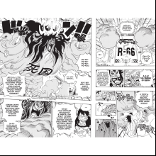 Книга "One Piece. Большой куш. Книга 24. Те, кого забыла Дрессроза", Эйитиро Ода