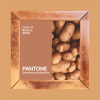 Скетчбук "Pantone 2025", 12х12 см, 140 г/м2, 80 листов, капучино - 2
