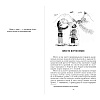 Книга "Манюня", Абгарян Н. - 2
