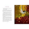 Книга "Алиса в Стране Чудес", Льюис Кэролл, илл. Марина Буданова - 3