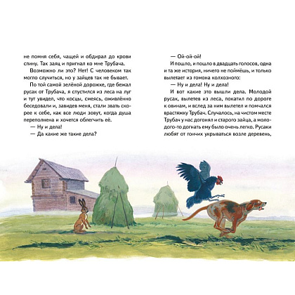 Книга "Книги для внеклассного чтения. Рассказы о природе (ил. С. Ярового)", Михаил Пришвин - 5
