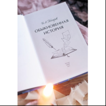 Книга "Обыкновенная история. Вечные истории. Young Adult", Гончаров И.