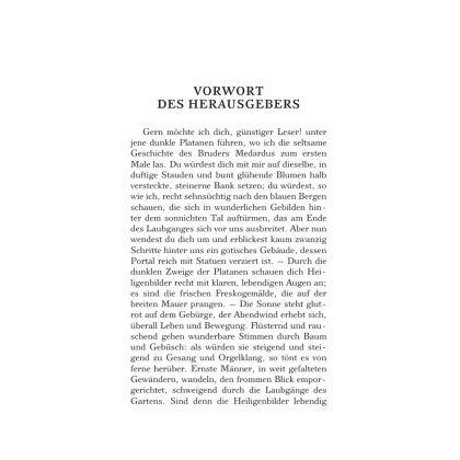 Книга на немецком языке "Die Elixiere des Teufels", Эрнст Гофман - 2
