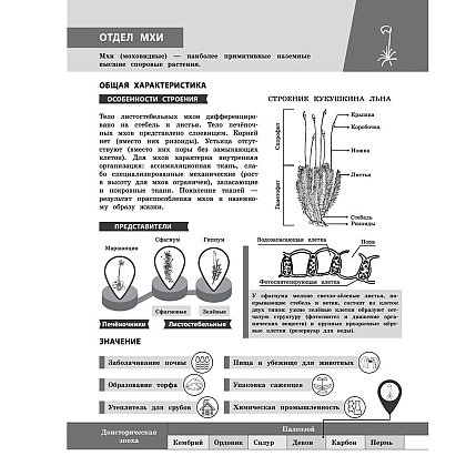 Книга "Биология в инфографике", Оксана Мазур - 13