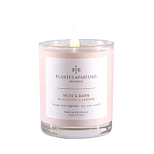 Свеча ароматическая PLANTS&PARFUMS "Blackberry & Berries", 180 гр. 
