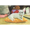 Книга "Кот без имени", Фумико Такэсита, иллюстрации Матида Наоко - 4