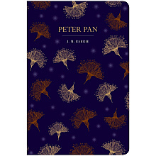 Книга на английском языке "Peter Pan", James Matthew Barrie