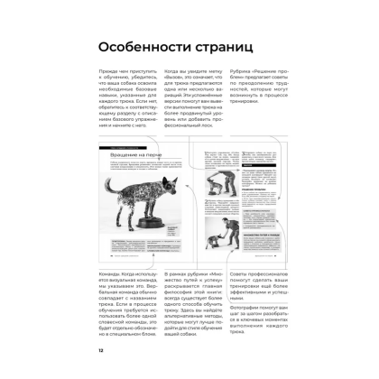 Книга "Собака, которая умеет всё. Пошаговое руководство по 118 удивительным трюкам", Ларри Кей, Крис Перонди - 9