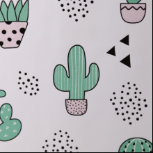 Обложка для паспорта "Succulents", разноцветный