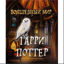 Раскраска "Волшебный мир Гарри Поттера"