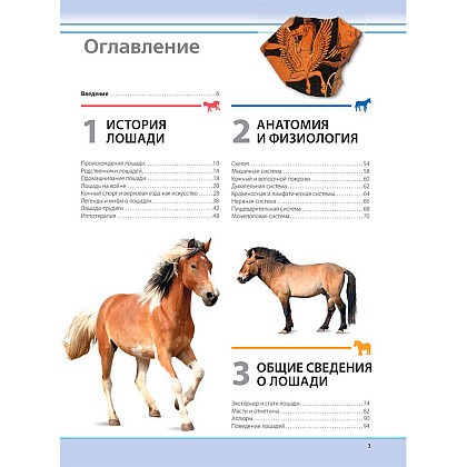 Книга "Лошади. Самая полная иллюстрированная энциклопедия", Зимина Г. - 2