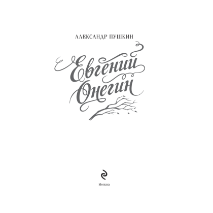 Книга "Евгений Онегин" подарочное издание, Александр Пушкин - 4