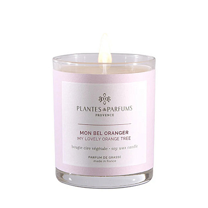 Свеча ароматическая PLANTS&PARFUMS "My Lovely Orange Tree", 180 гр., подарочная упаковка
