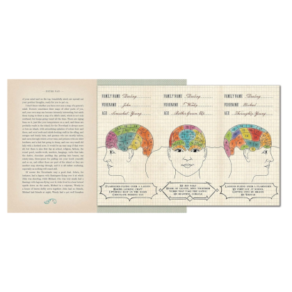 Книга на английском языке "Peter Pan MinaLima Ed", James Barrie - 4