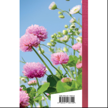 Книга "Золотая серия поэзии. Когда стихи улыбаются", Асадов Э.