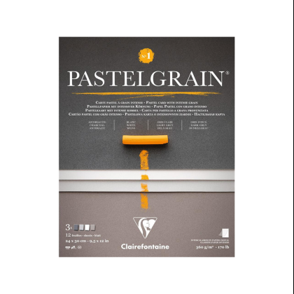 Блок бумаги для пастели "PastelGrain" 4 оттенка, 24х30см, 360 г, 12 листов, №1