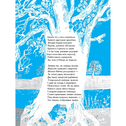 Книга "Новая зямля", Якуб Колас  - 7