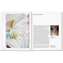 Книга на английском языке "Basic Art, O'Keeffe"