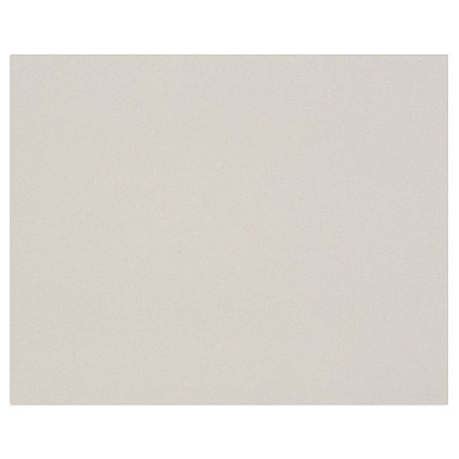 Картон художественный " Clairefontaine", 60x80 см, 3 мм, 1920 г/м2, серый - 2