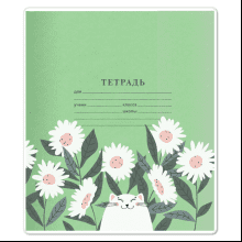 Обложка для тетрадей "Hippie ромашки", А5, разноцветный