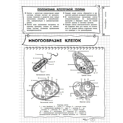 Книга "Наглядная биология" - 7