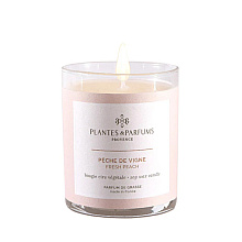 Свеча ароматическая PLANTS&PARFUMS "Fresh Peach", 180 гр., подарочная упаковка