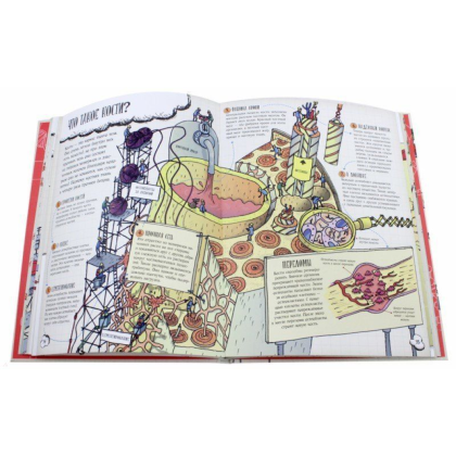 Книга "Большое путешествие по телу человека", Фарндон Дж. - 5
