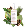 Духи интерьерные PLANTES&PARFUMS "Provence Pine", 100 мл  - 2