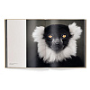 Книга на английском языке "Between Us. Animal Portraits" HB, Vincent Lagrange - 3
