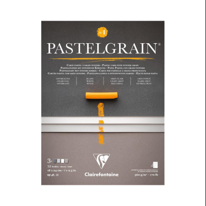 Блок бумаги для пастели "PastelGrain" 4 оттенка, 18х24см, 360 г, 12 листов, №1