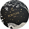 Ежедневник датированный "Fortune" на 2026 год, А5, черный - 3