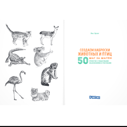 Книга "Скетчбук начинающего художника. Создаем наброски животных и птиц шаг за шагом. 50 проектов с подробными объяснениями и рисунками", Лиз Эрзог - 6
