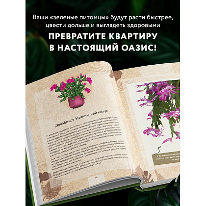 Книга "Зеленая комната. Как стать повелителем домашних джунглей", Илья Зеленов - 8