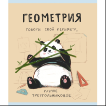 Тетрадь "Панда. Геометрия", А5, 48 листов, клетка 