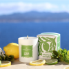 Свеча ароматическая PLANTES&PARFUMS "Citrus Neroli", 180 гр - 2