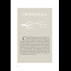 Книга "Зачем художнику детали? Вишни, голуби, розы и другие символы", Алина Никонова - 17