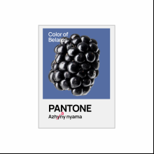 Кружка керамическая "Color of Belarus. Pantone Azhany nyama", 330 мл, белый