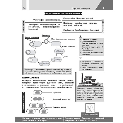 Книга "Биология в инфографике", Оксана Мазур - 6