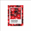 Блокнот «Color of Belarus. Pantone Ikra balotnaya», А5, 128 листов, в точку, белый, зеленый - 2