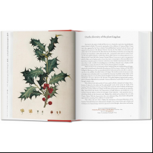 Книга на английском языке "A Garden Eden. Masterpieces of Botanical Illustration", Lack H. W.