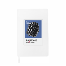 Блокнот «Color of Belarus. Pantone Azhany nyama», А5, 128 листов, в точку, белый, синий