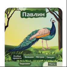 Игра настольная "10 вопросов. Животные"