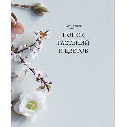 Книга "Искусство цветочного дизайна. Принципы флористического стиля", Кристин Гил - 9