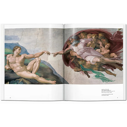 Книга на английском языке "Basic Art, Michelangelo" - 3