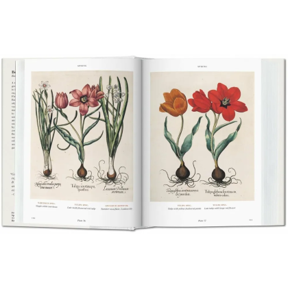 Книга на английском языке  "Florilegium. The Book of Plants. Garden at Eichstatt"  - 4