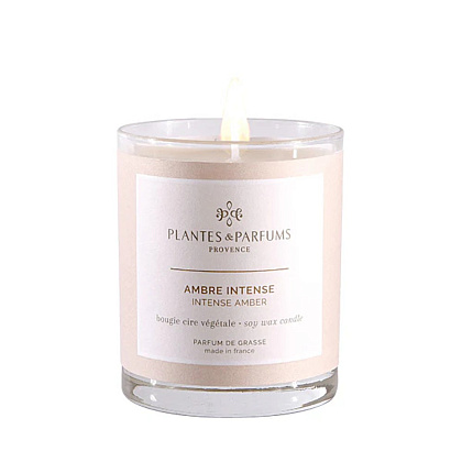 Свеча ароматическая PLANTS&PARFUMS "Intense Amber", 180 гр., подарочная упаковка