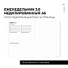 Еженедельник недатированный "MyPPlanner 3.0 Creative", А5, 240 страниц, темно-серый - 10