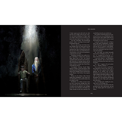 Книга на английском языке "Harry Potter and the Order of the Phoenix", J.K. Rowling, Jim Kay - 7